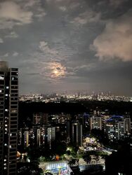 D'Leedon (D10), Condominium #533057221